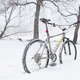Image for article titled What It Cost To Fix A Titanium Bike Abandoned For Two Years
